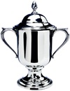 Pokal